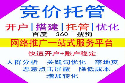 竞价推广代运营：成功案例解析